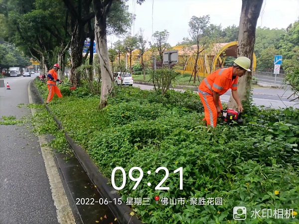 項目動(dòng)態(tài) | 打造美麗鳳城，筑文明城市生態(tài)