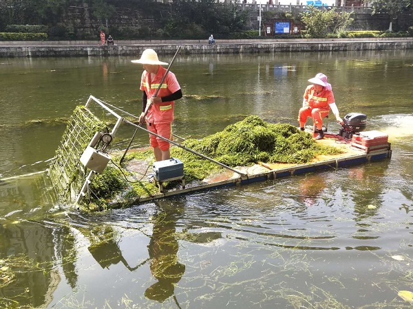 河道綠植管理養護的服務(wù)范圍